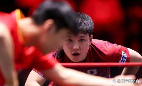 利记官方网站-阿拉维斯横扫对手，震惊全场喜悦无限