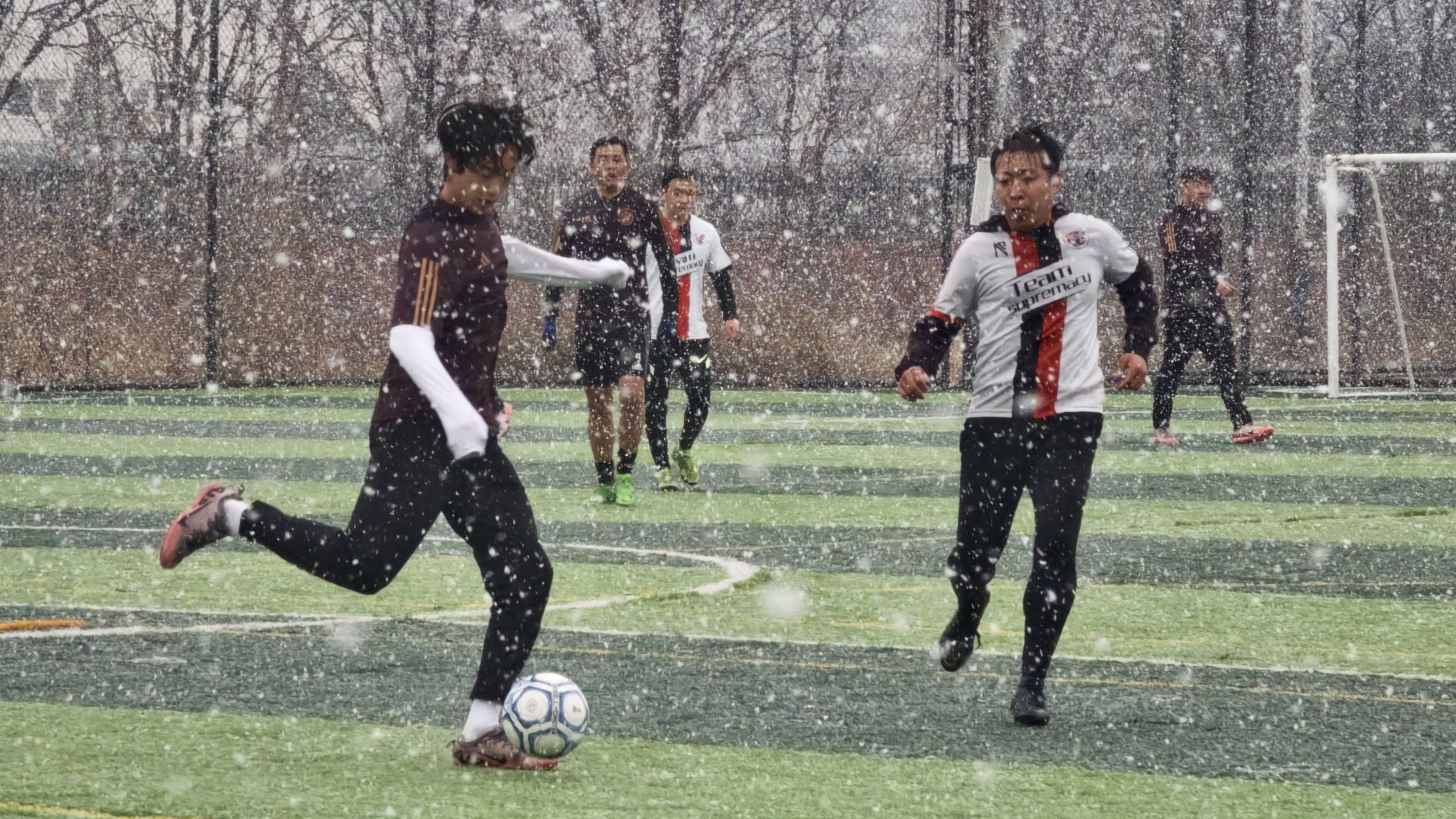 利记平台-踢出风采！足球明星们在绿茵场上一展身手